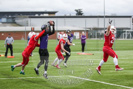 sport-90624.jpg Hurricanes -v- Lions 2 American football,BUAFL,Birmingham Lions,Hatfield University,Hertfordshire Hurricanes,sport,