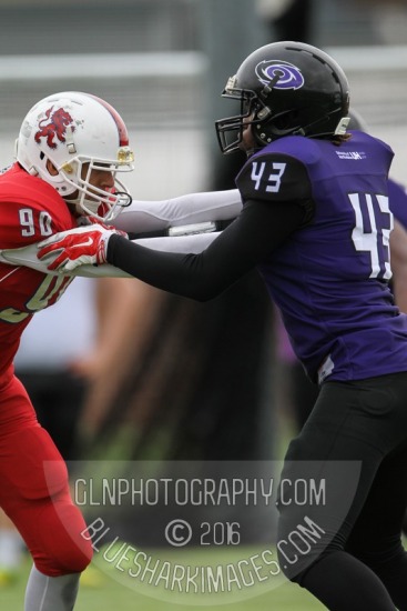 sport-90638.jpg Hurricanes -v- Lions 2 American football,BUAFL,Birmingham Lions,Hatfield University,Hertfordshire Hurricanes,sport,