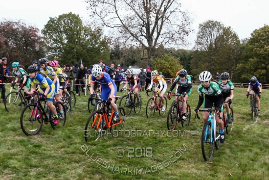 CXL2018-14166.jpg CCXL 2018 R8 - Whipsnade Common (9) 