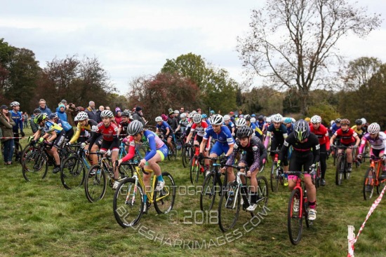 CXL2018-15060.jpg CCXL 2018 R8 - Whipsnade Common (19) 