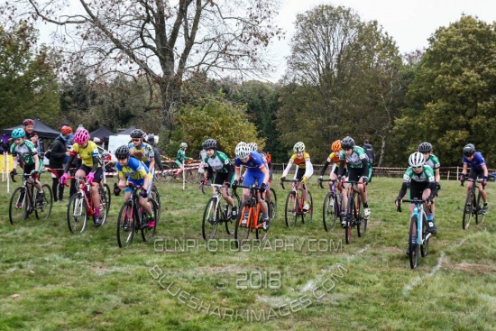 CXL2018-14165.jpg CCXL 2018 R8 - Whipsnade Common (9) 