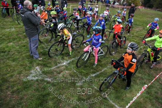 CXL2018-13799.jpg CCXL 2018 R8 - Whipsnade Common (1) 