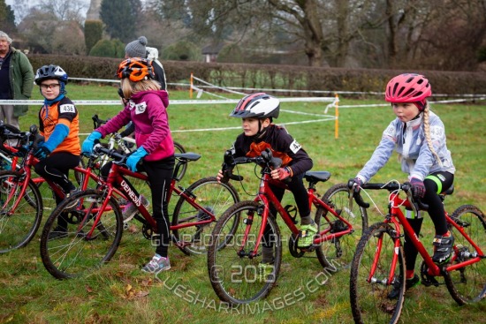 CXL2018-25894.jpg CCXL 2018 R14 - Misterton Hall (1) 